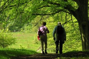 Wandelen in de bosrijke omgeving